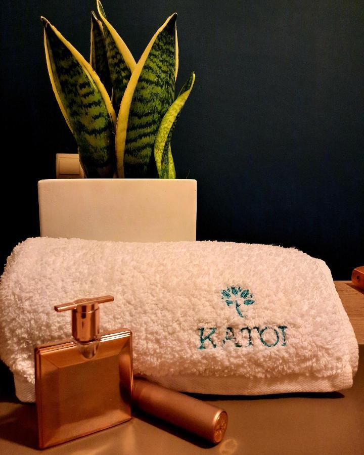Katoi Traditional House Exo Khora Exterior photo